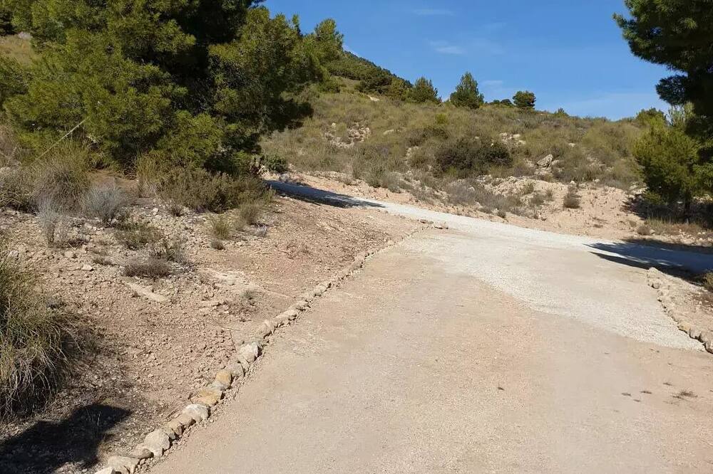 Photo of Others in Lorca