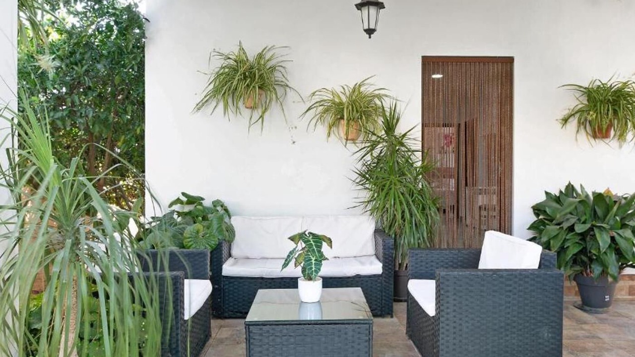 Photo of Patio Balcony in Conil de la Frontera
