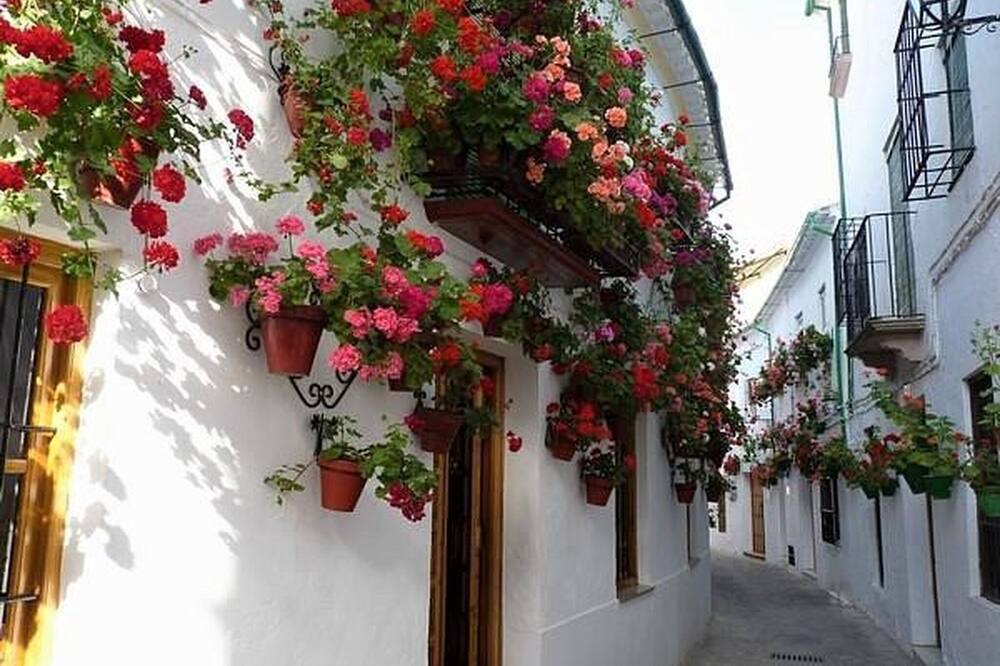 Photo of Others in Priego de Cordoba