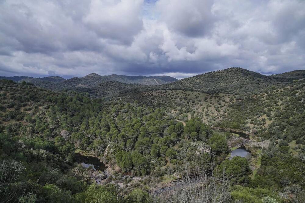 Photo of Others in Las Jaras