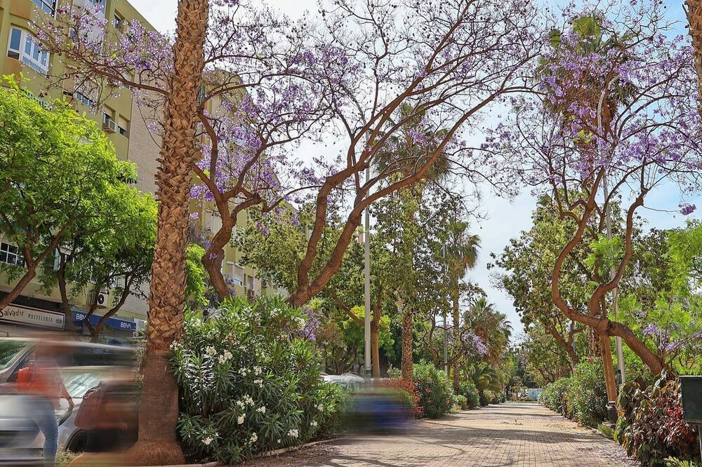 Photo of Outdoor in Jardin de la Abadia