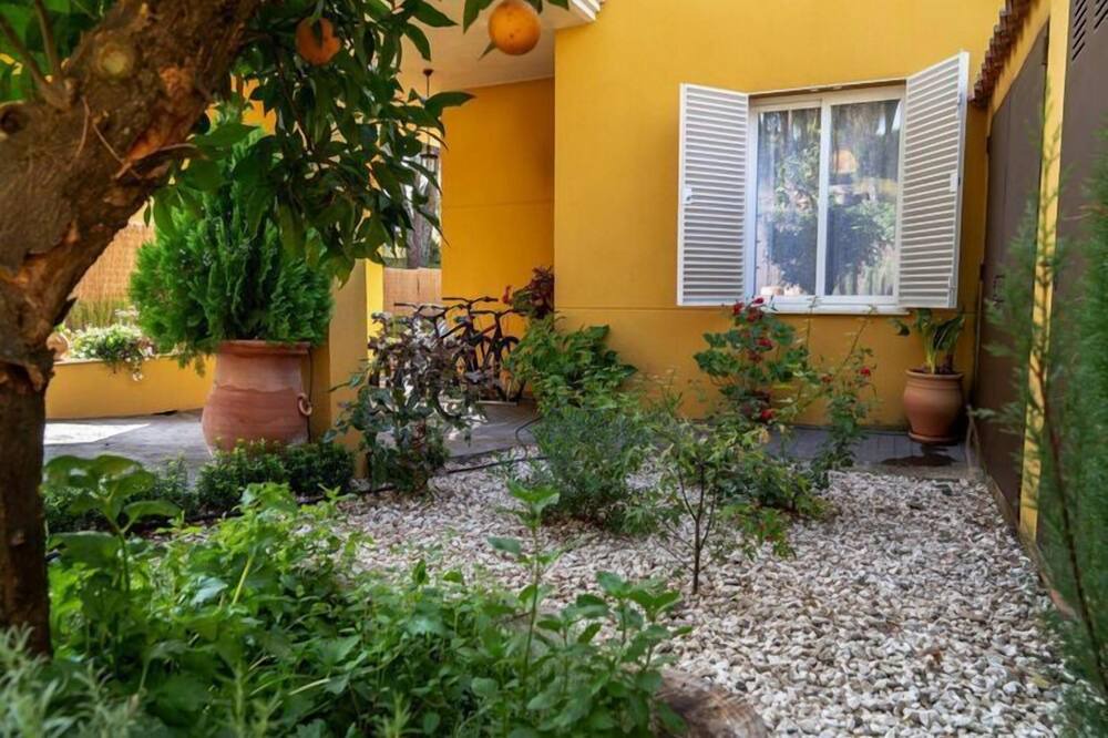 Photo of Outdoor in Las Jaras