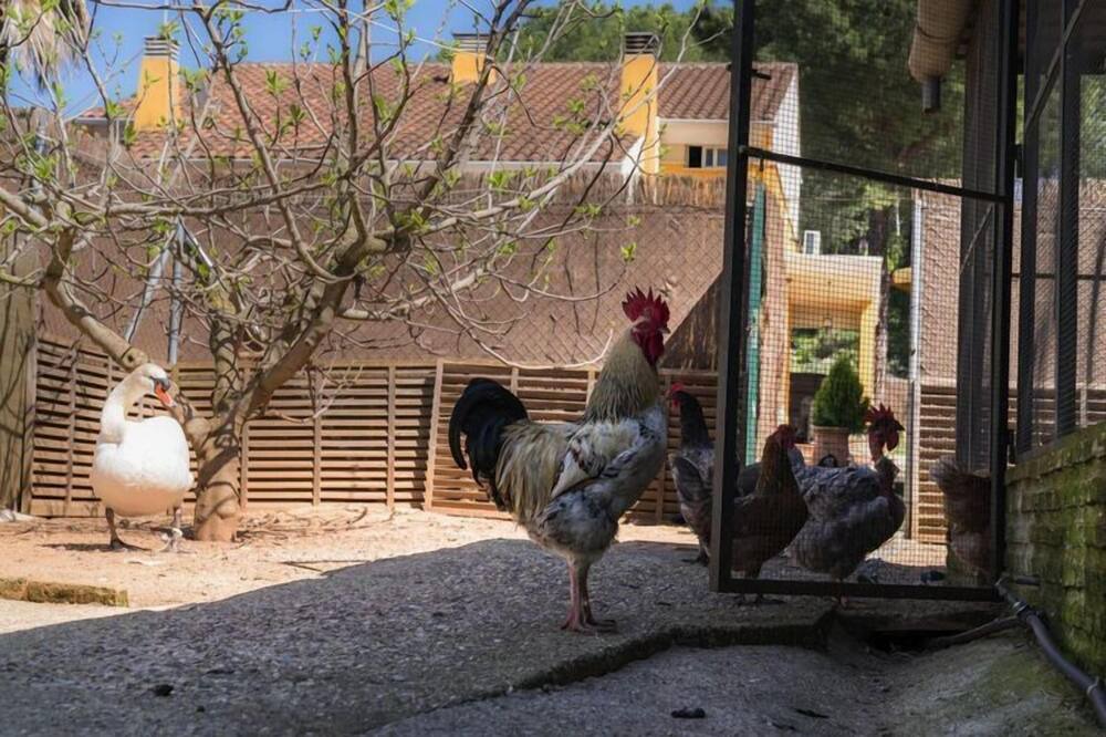Photo of Outdoor in Las Jaras