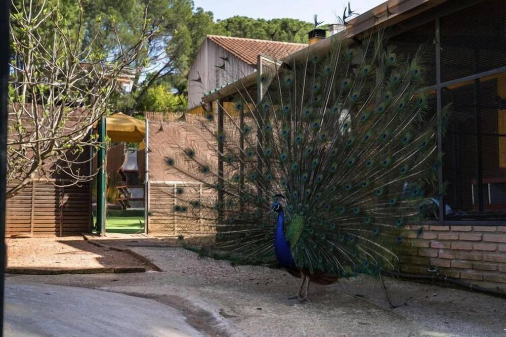 Photo of Outdoor in Las Jaras