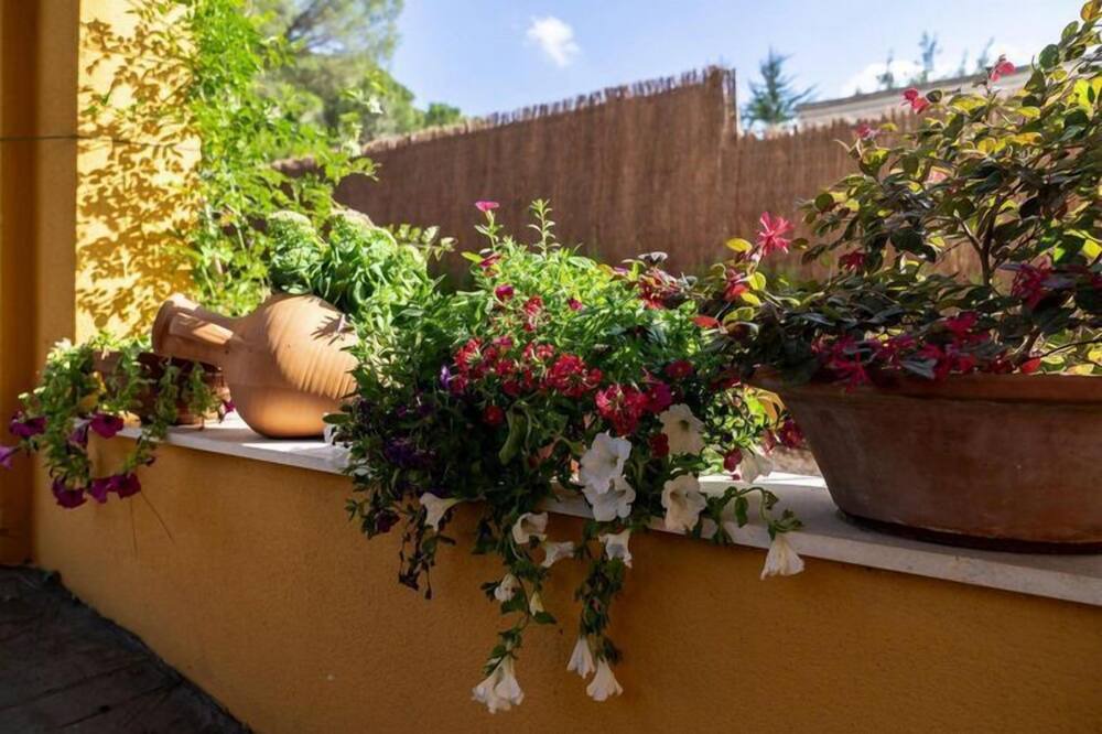 Photo of Outdoor in Las Jaras