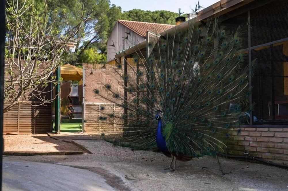 Photo of Outdoor in Las Jaras