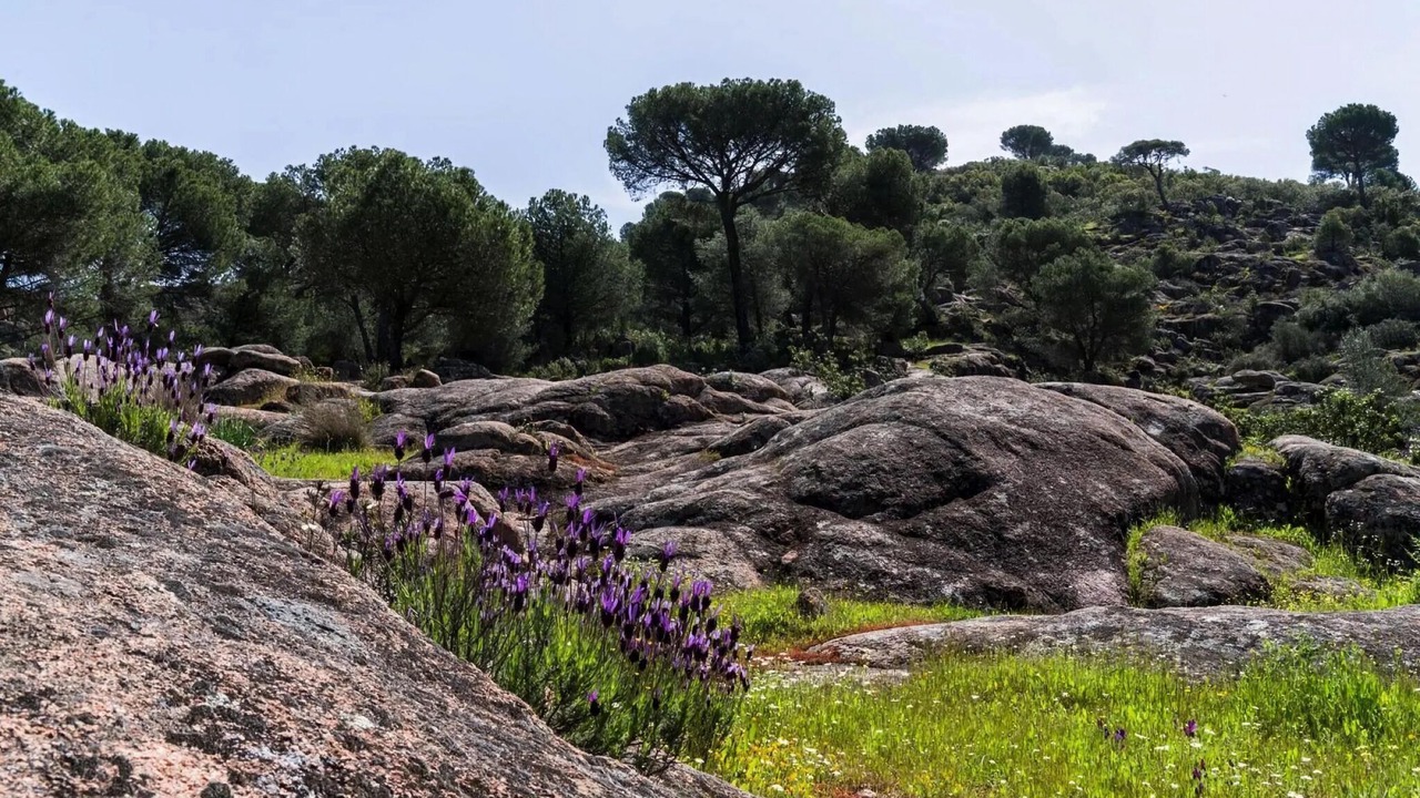 Photo of Outdoor in Las Jaras