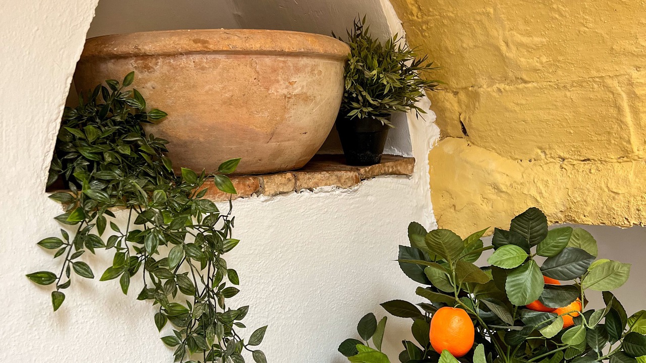 Photo of Patio Balcony in Carmona