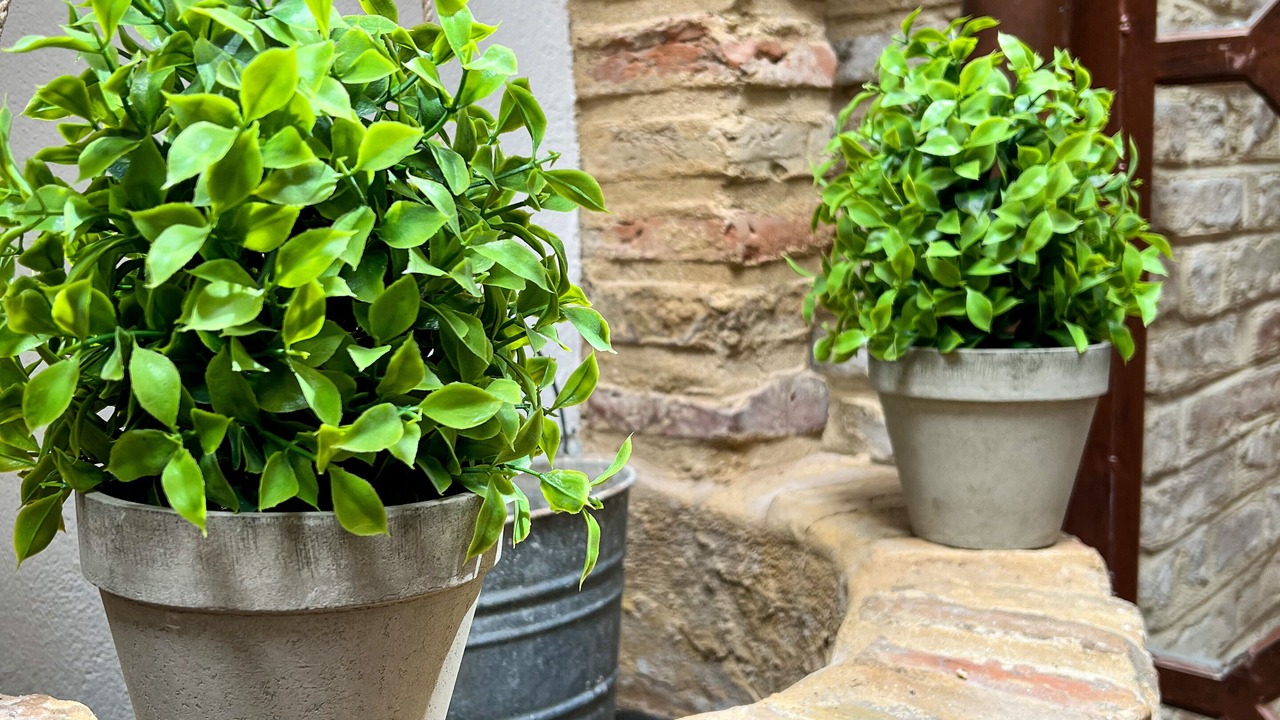 Photo of Patio Balcony in Carmona