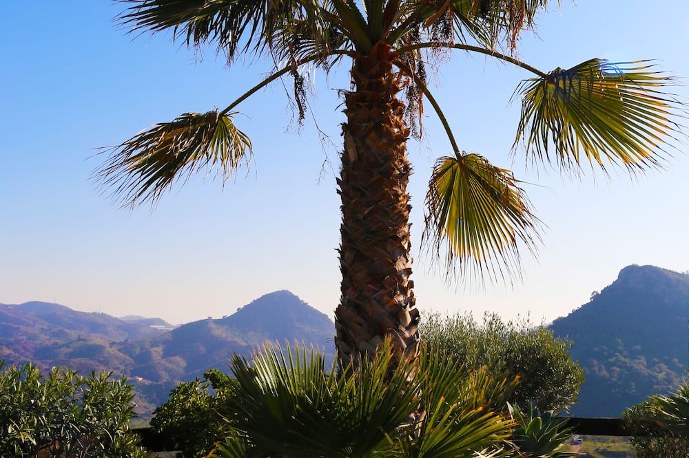 Photo of Outdoor in Almogia