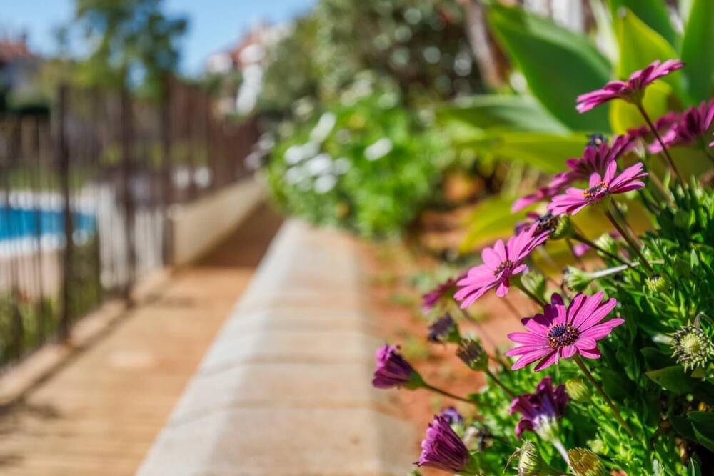 Photo of Outdoor in Las Pajanosas