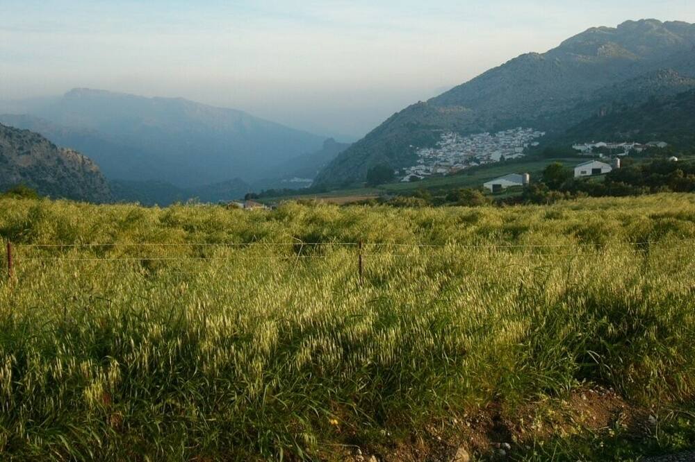 Photo of Outdoor in Montejaque