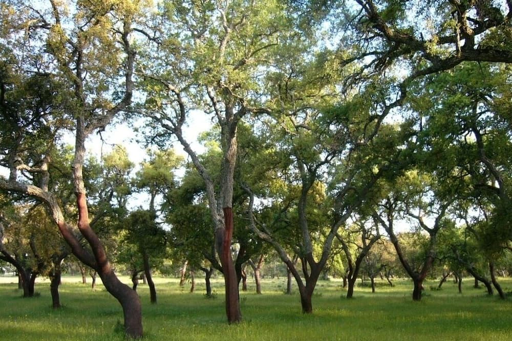 Photo of Outdoor in Montejaque