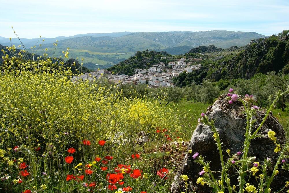 Photo of Outdoor in Montejaque
