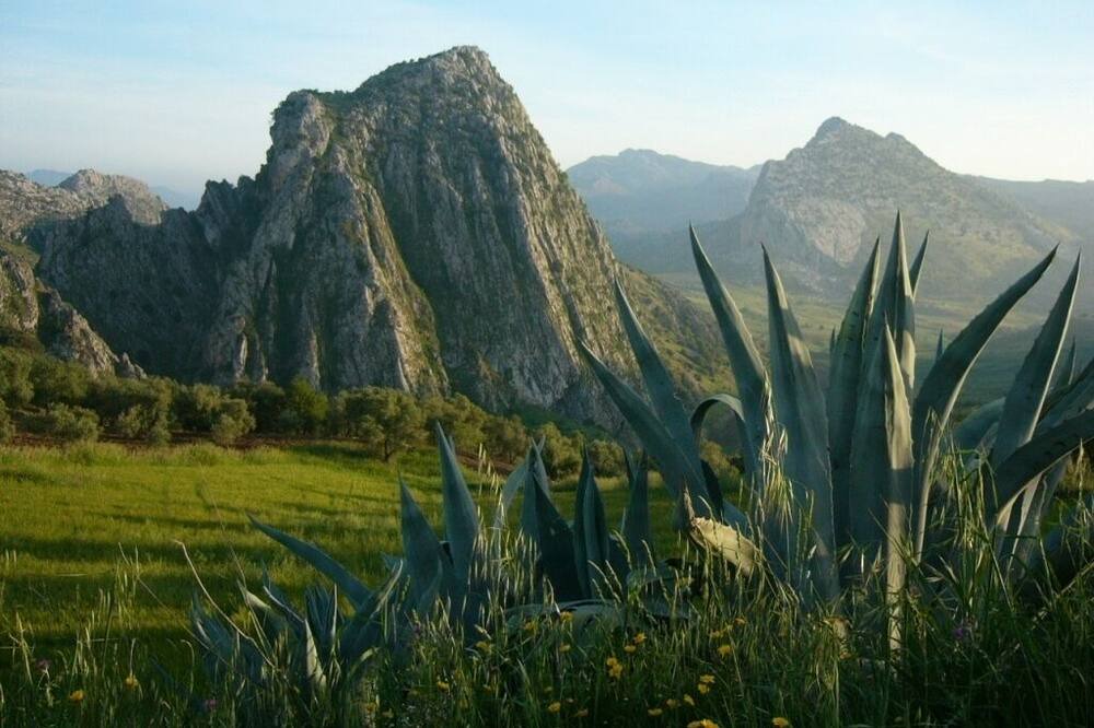 Photo of Outdoor in Montejaque