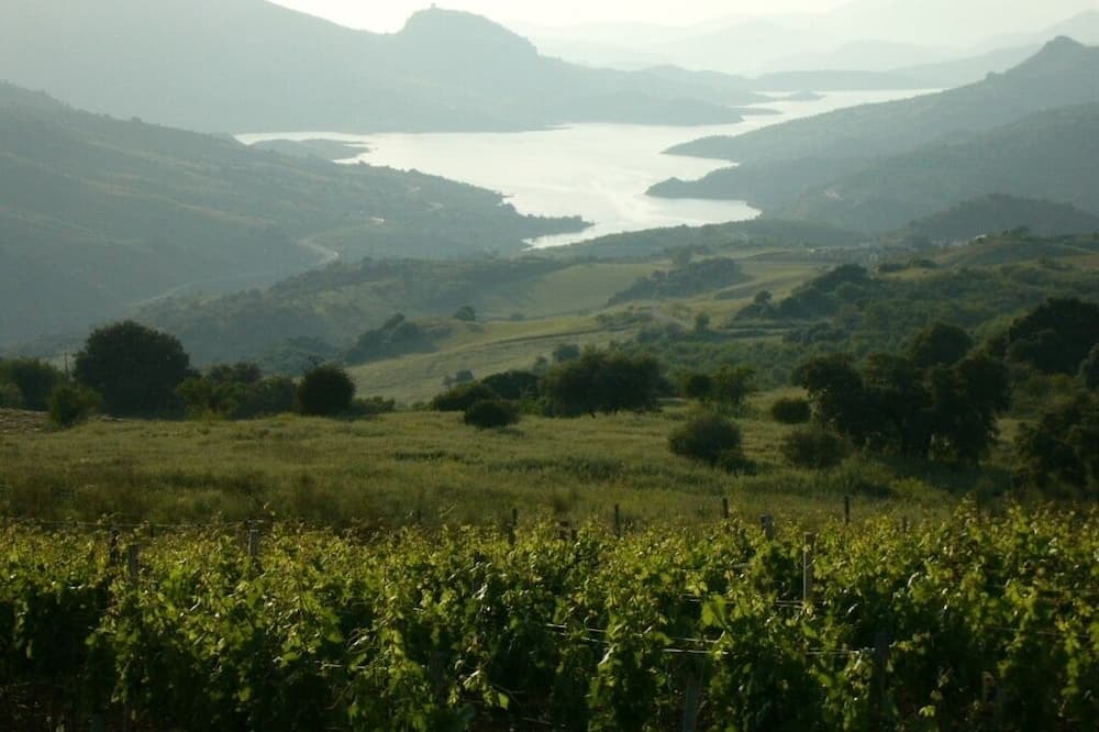 Photo of Outdoor in Montejaque