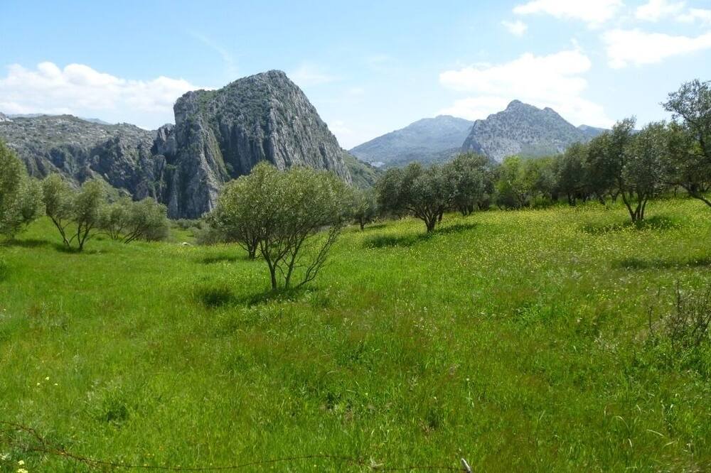 Photo of Outdoor in Montejaque