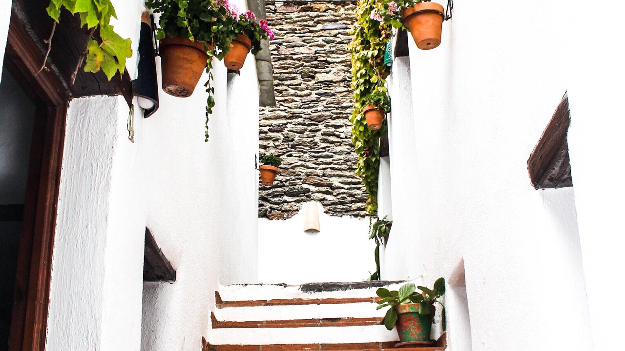 Photo of Others in Capileira