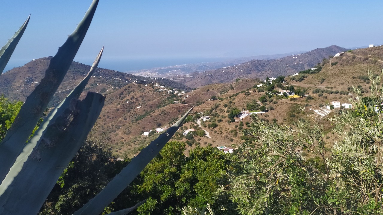 Photo of Outdoor in Competa