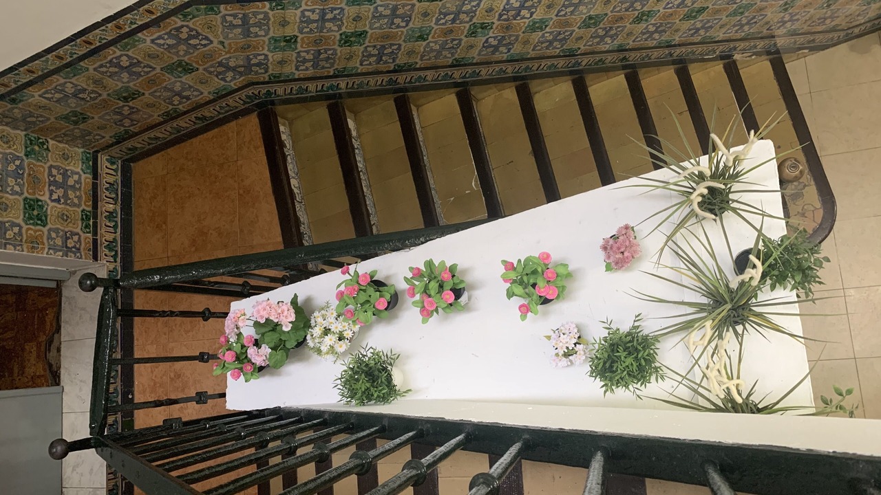 Photo of Outdoor in San Bartolome