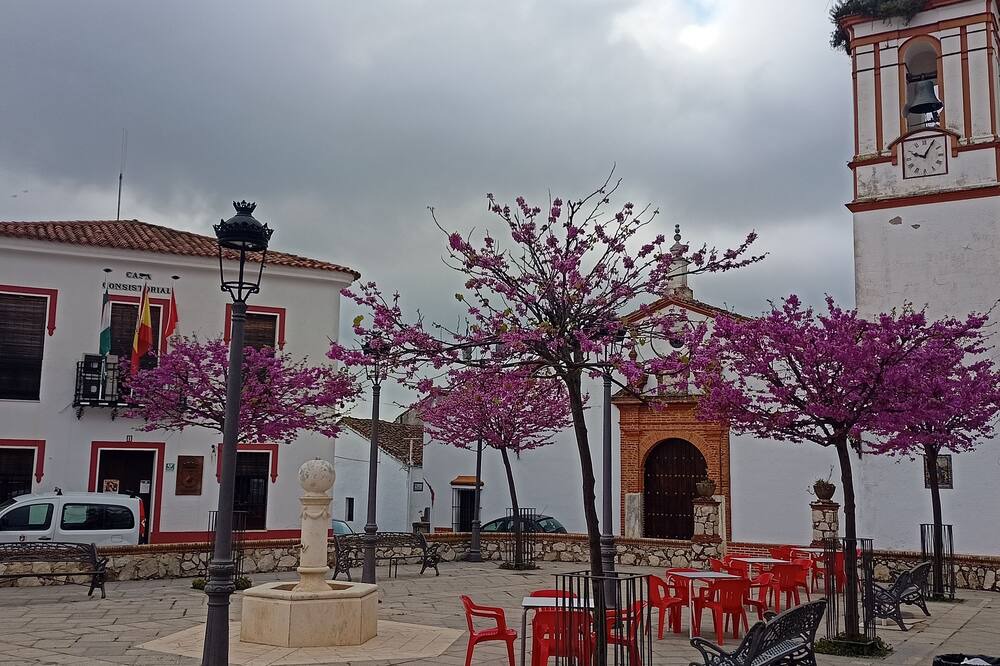Photo of Outdoor in Cortelazor
