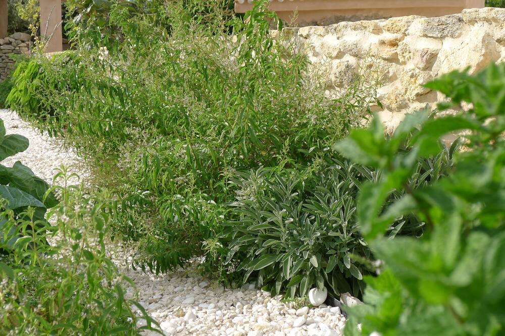 Photo of Outdoor in San Ambrosio