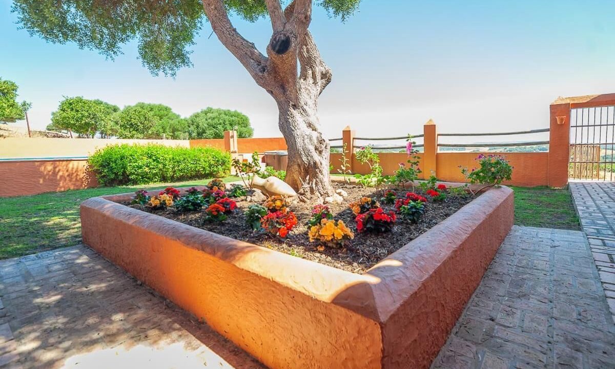Photo of Outdoor in Vejer de la Frontera