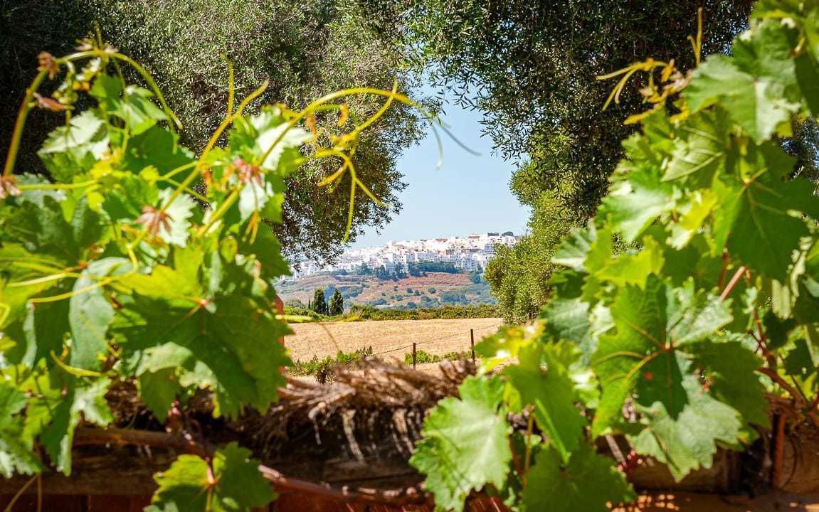 Photo of Outdoor in Vejer de la Frontera