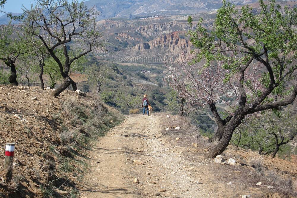 Photo of Others in Ugijar