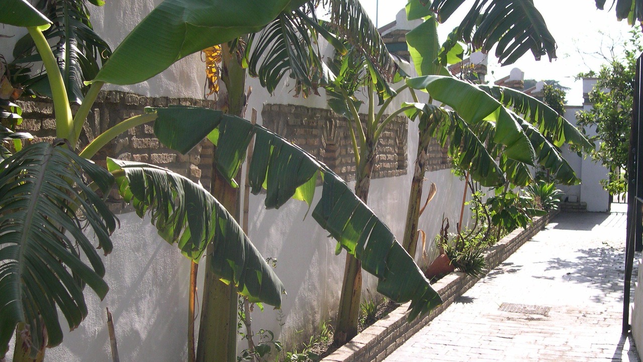 Photo of Outdoor in Los Gallos-Cerromolino