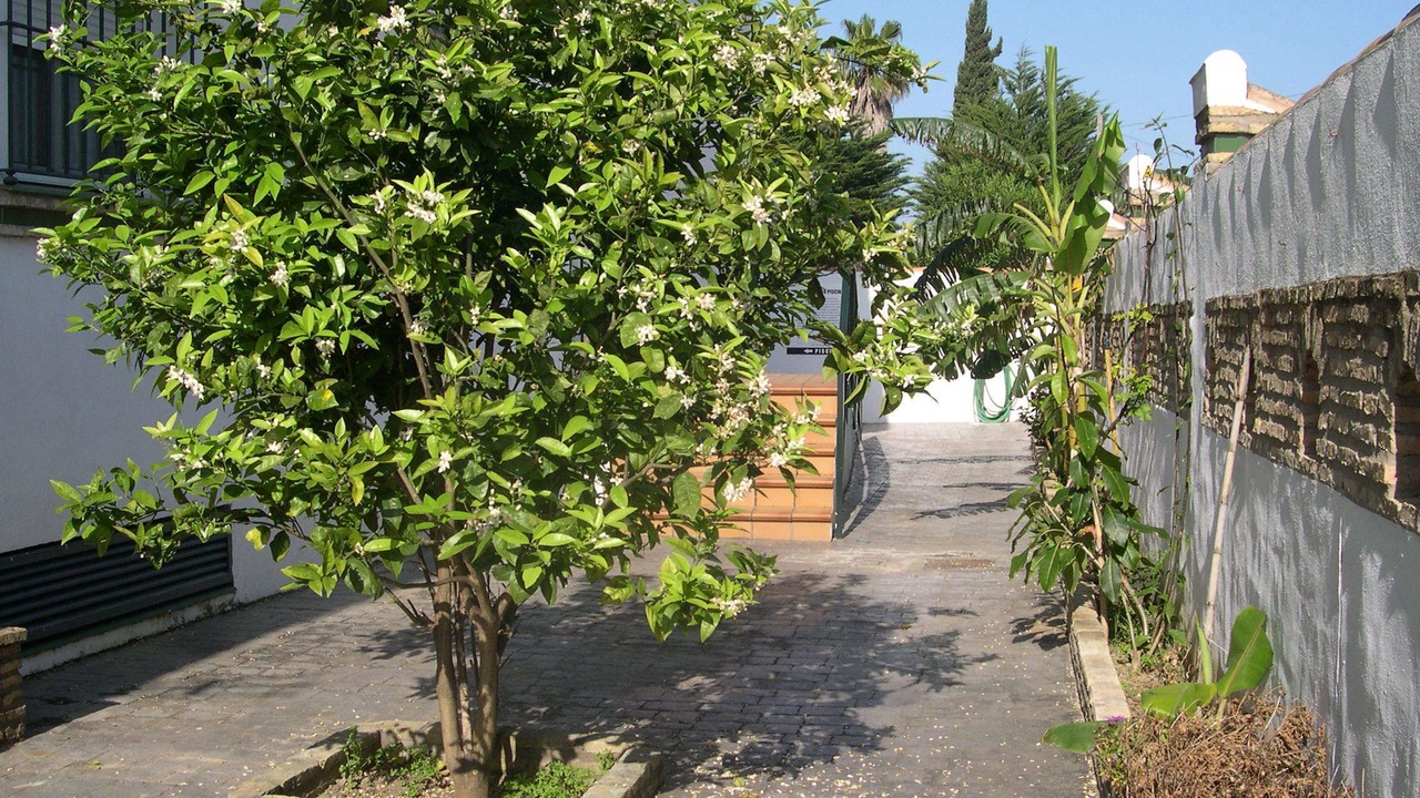 Photo of Outdoor in Los Gallos-Cerromolino