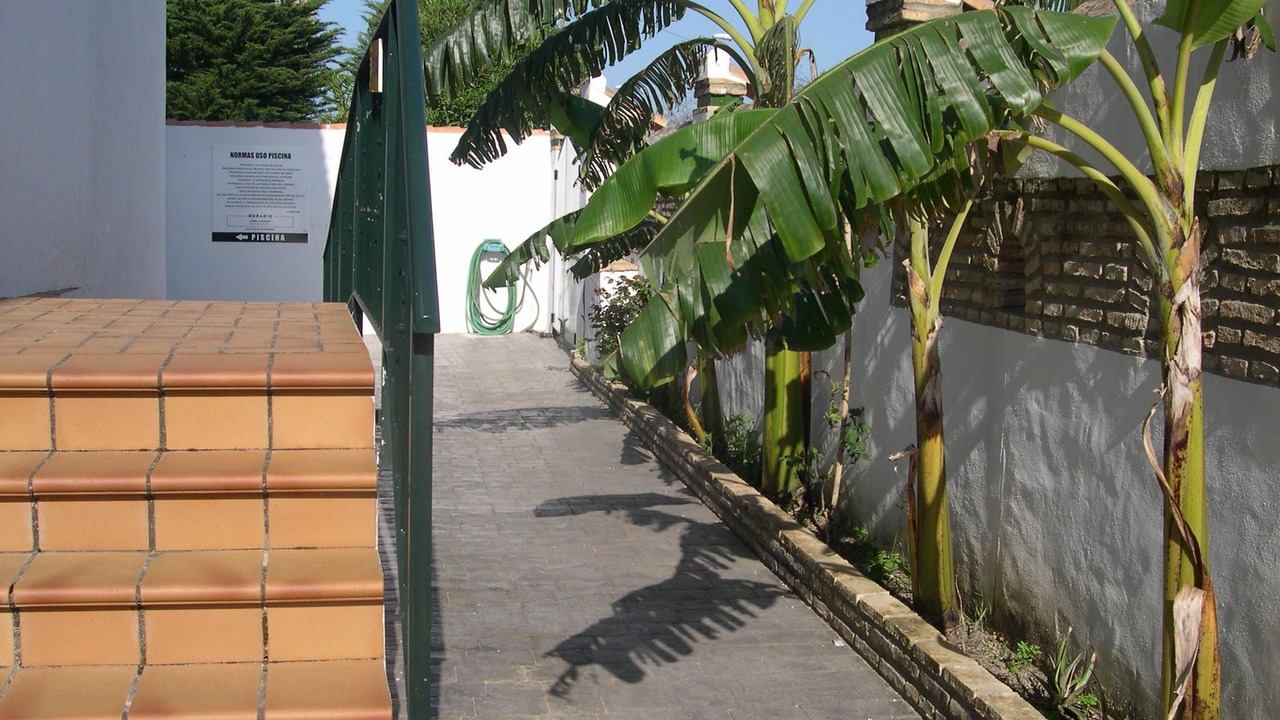 Photo of Outdoor in Los Gallos-Cerromolino