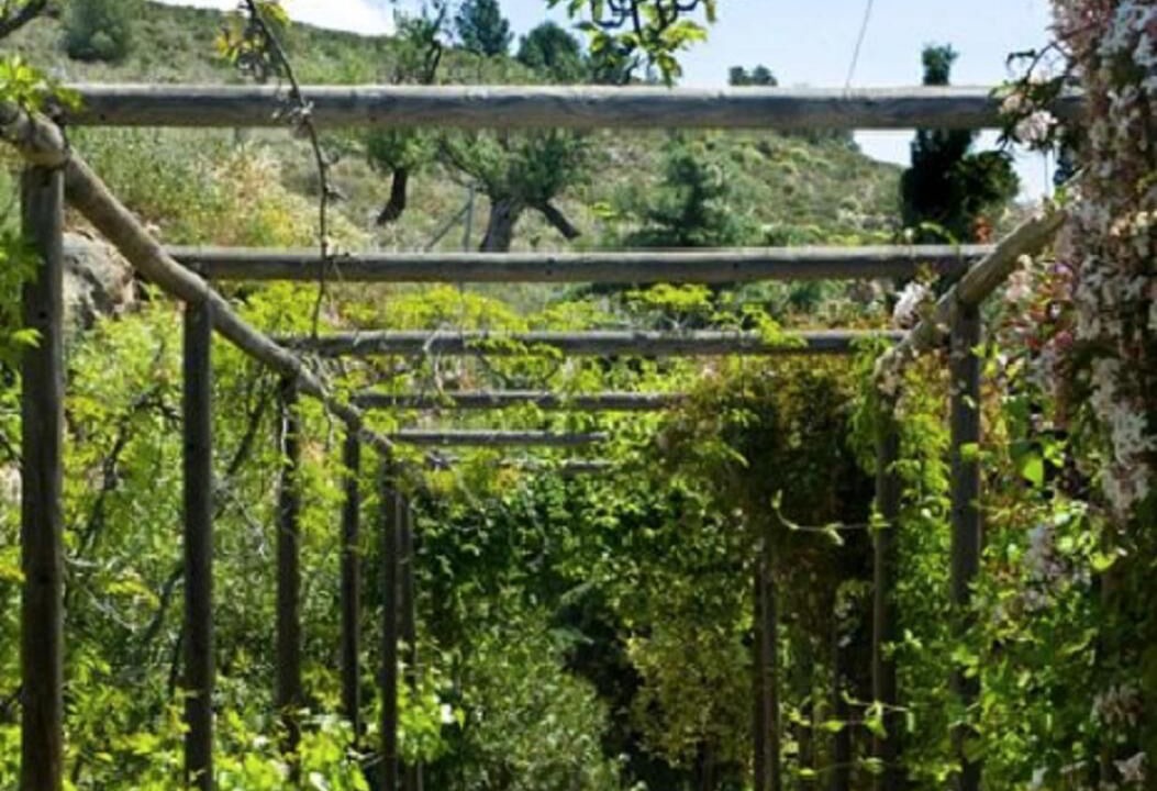 Photo of Outdoor in Laujar de Andarax