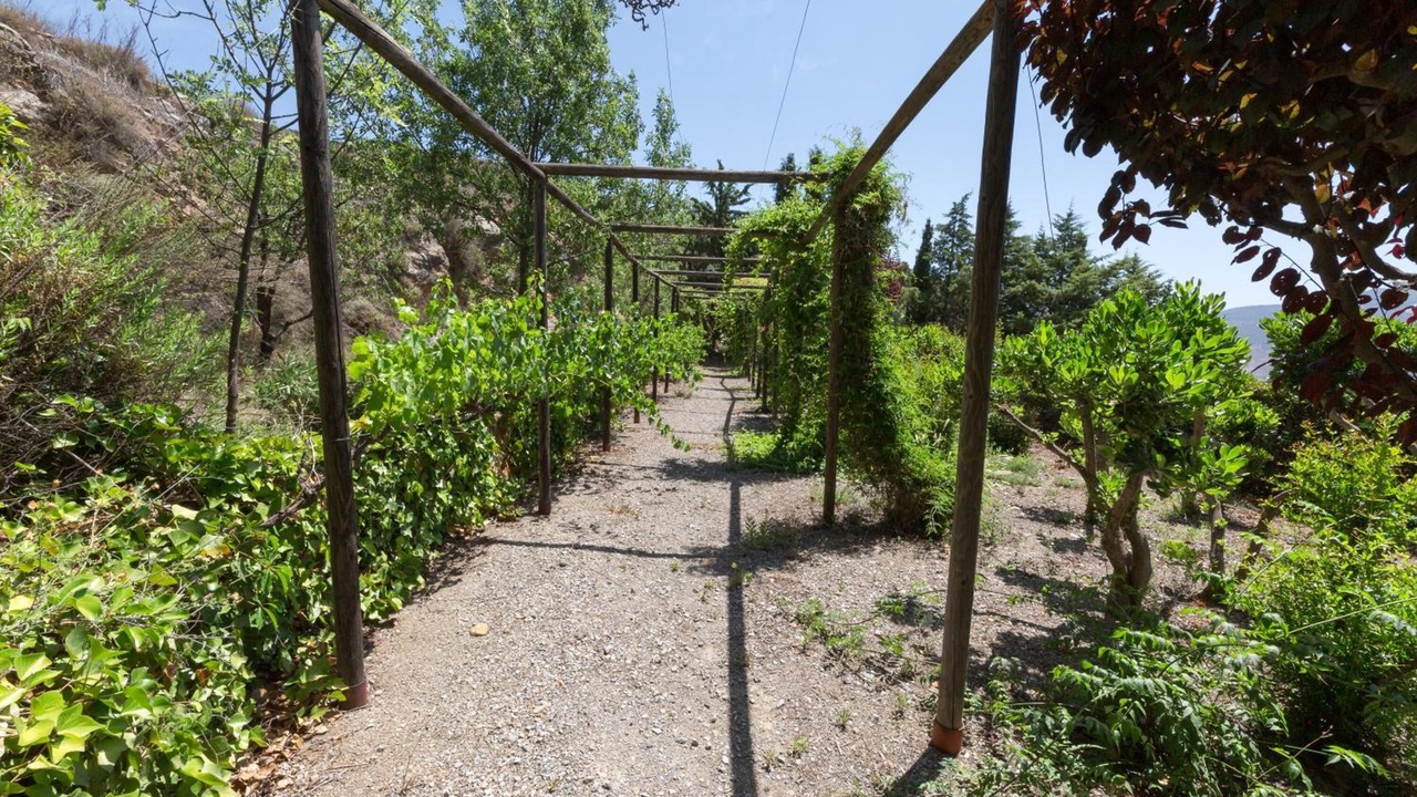 Photo of Outdoor in Laujar de Andarax