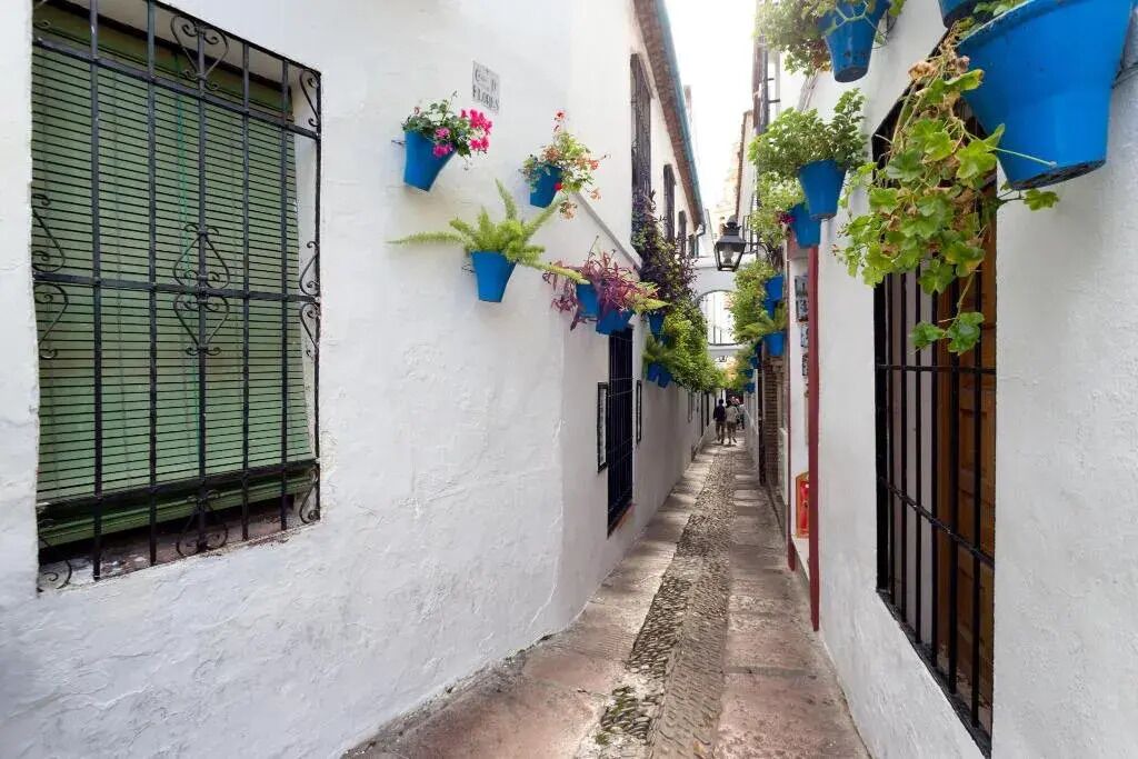 Photo of Outdoor in La Trinidad-San Juan y Todos los Santos