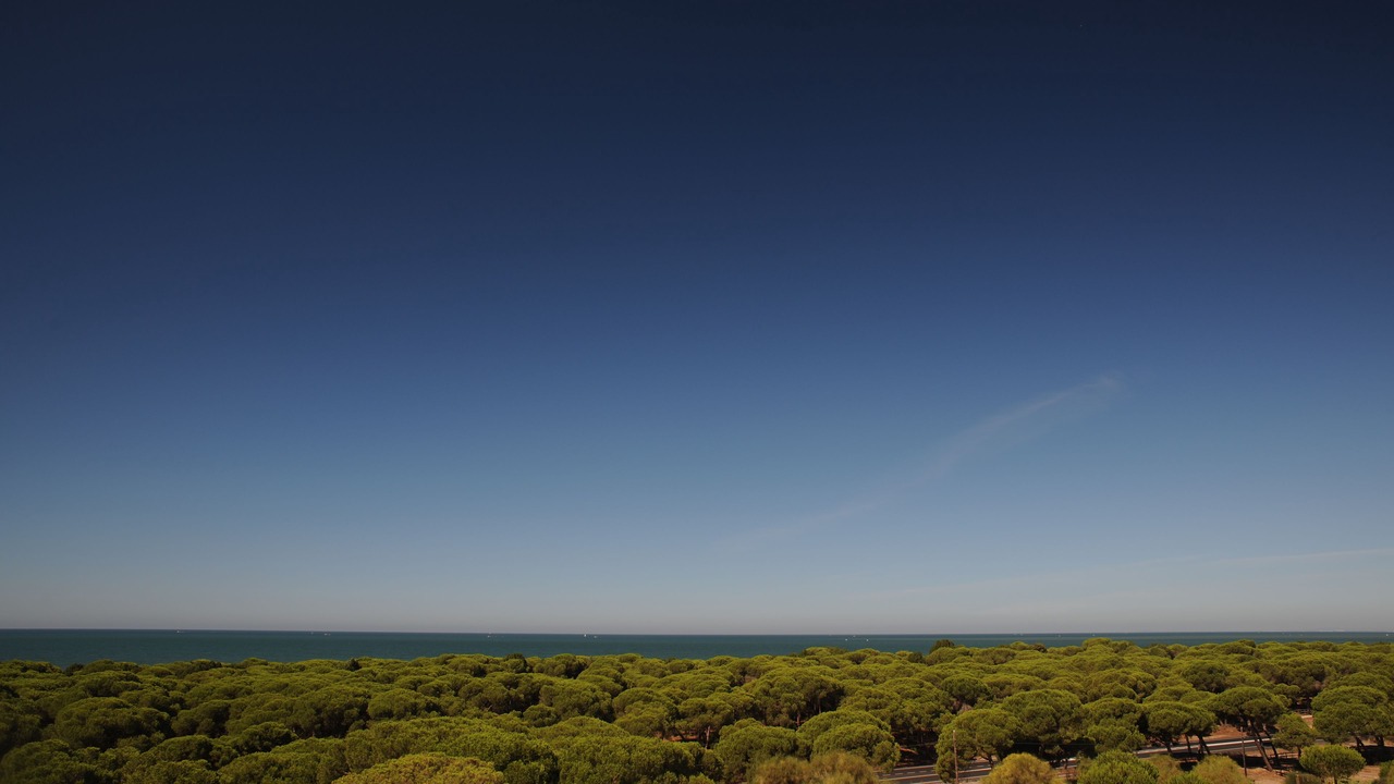 Photo of Others in Punta Umbria