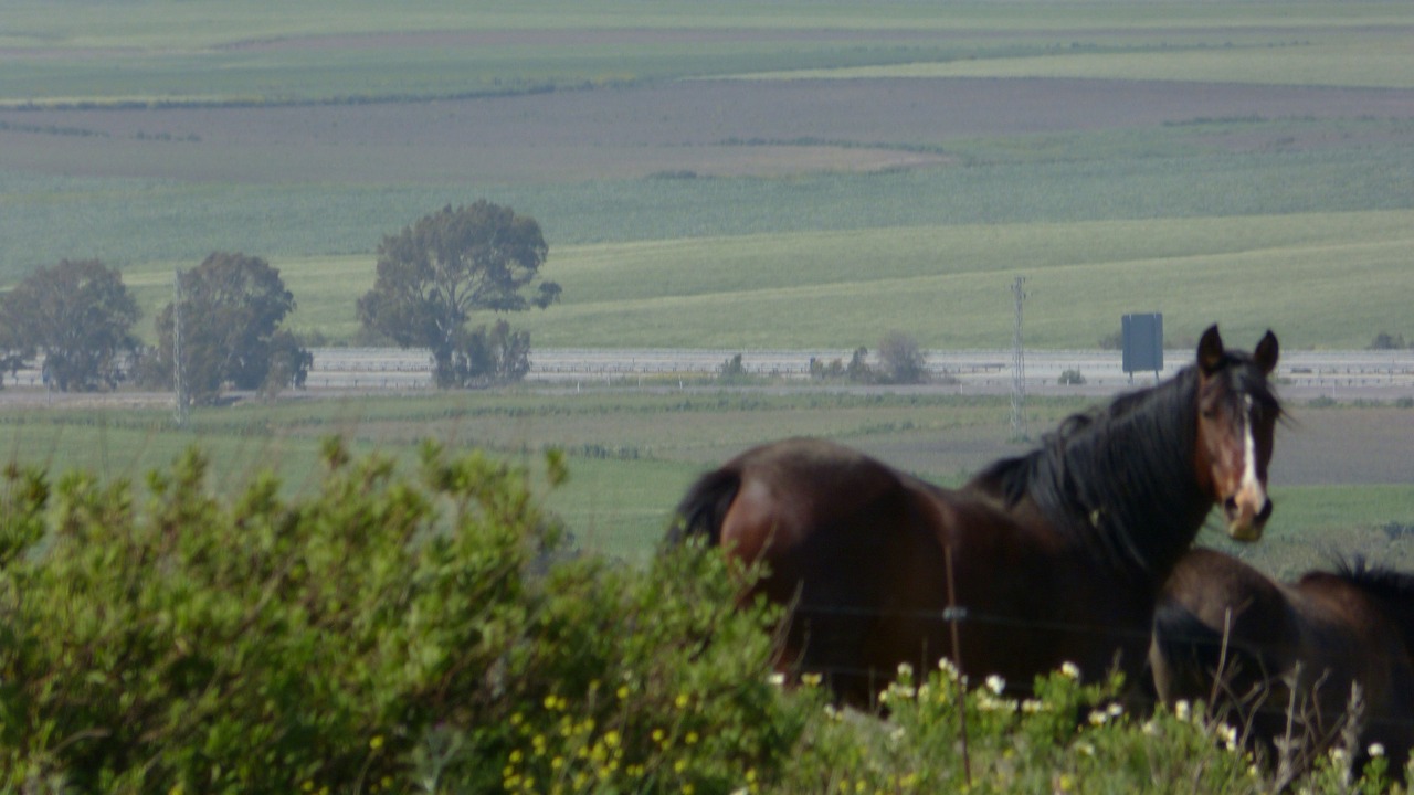 Photo of Others in San Ambrosio