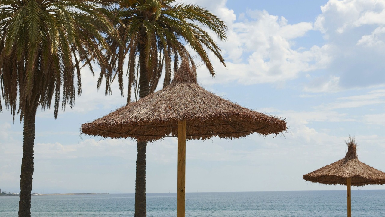 Photo of Others in Estepona