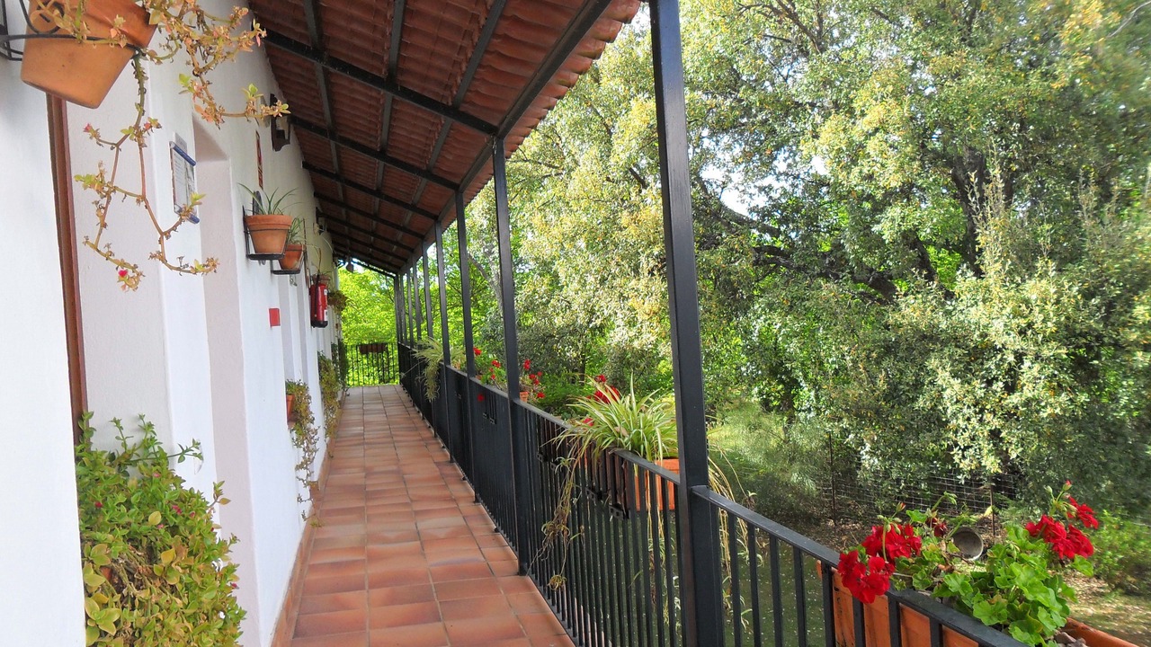 Photo of Patio Balcony in Aracena