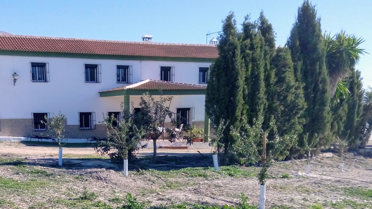 Photo of Outdoor in Campillos