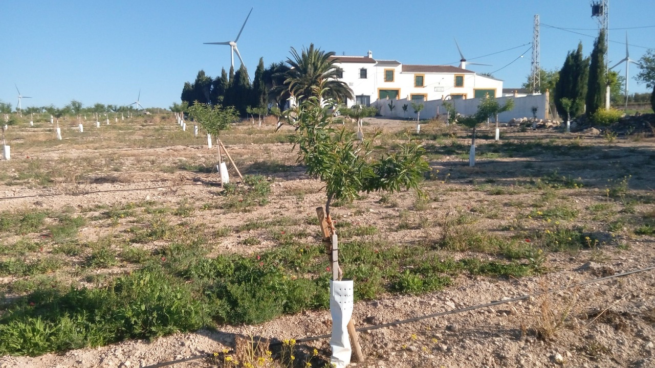 Photo of Outdoor in Campillos