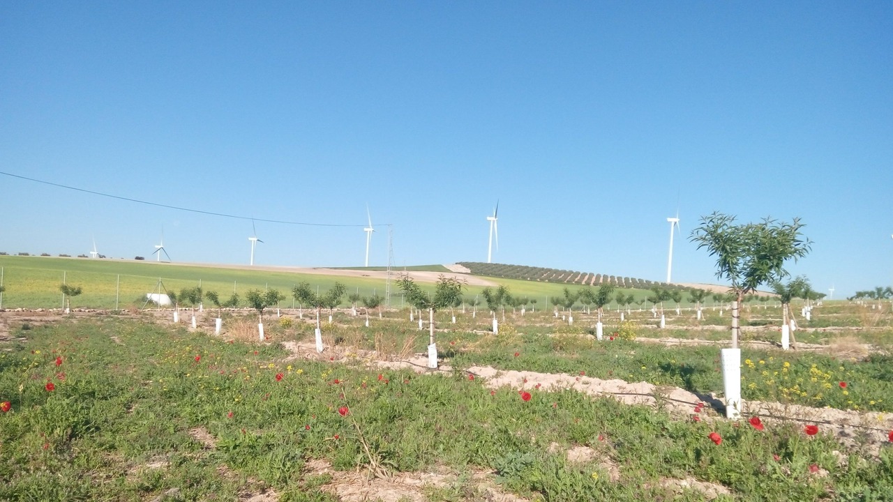 Photo of Outdoor in Campillos