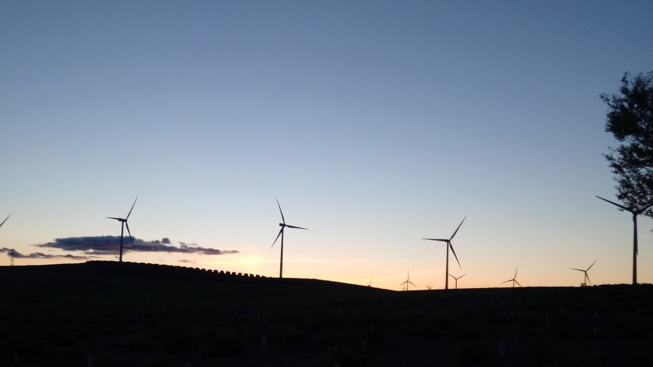 Photo of Outdoor in Campillos