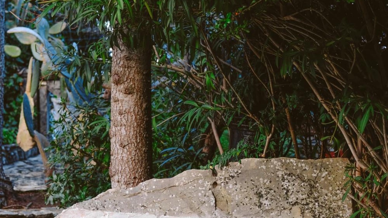 Photo of Outdoor in Ronda