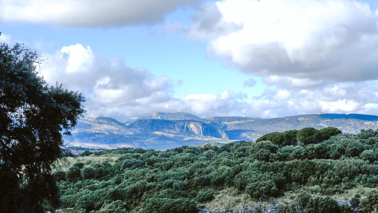 Photo of Outdoor in Ronda