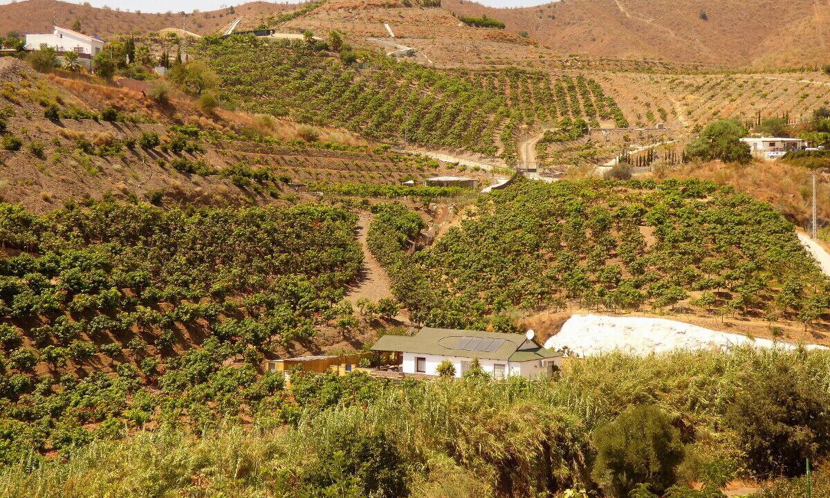 Photo of Outdoor in Velez-Malaga