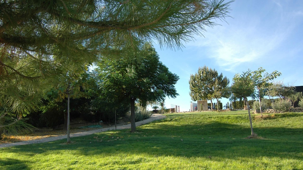 Photo of Outdoor in Santaella
