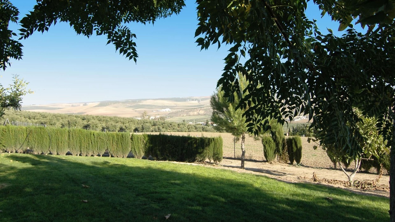 Photo of Outdoor in Santaella