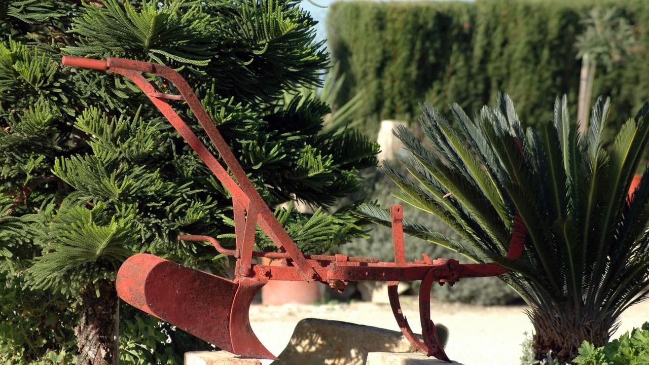 Photo of Outdoor in Santaella