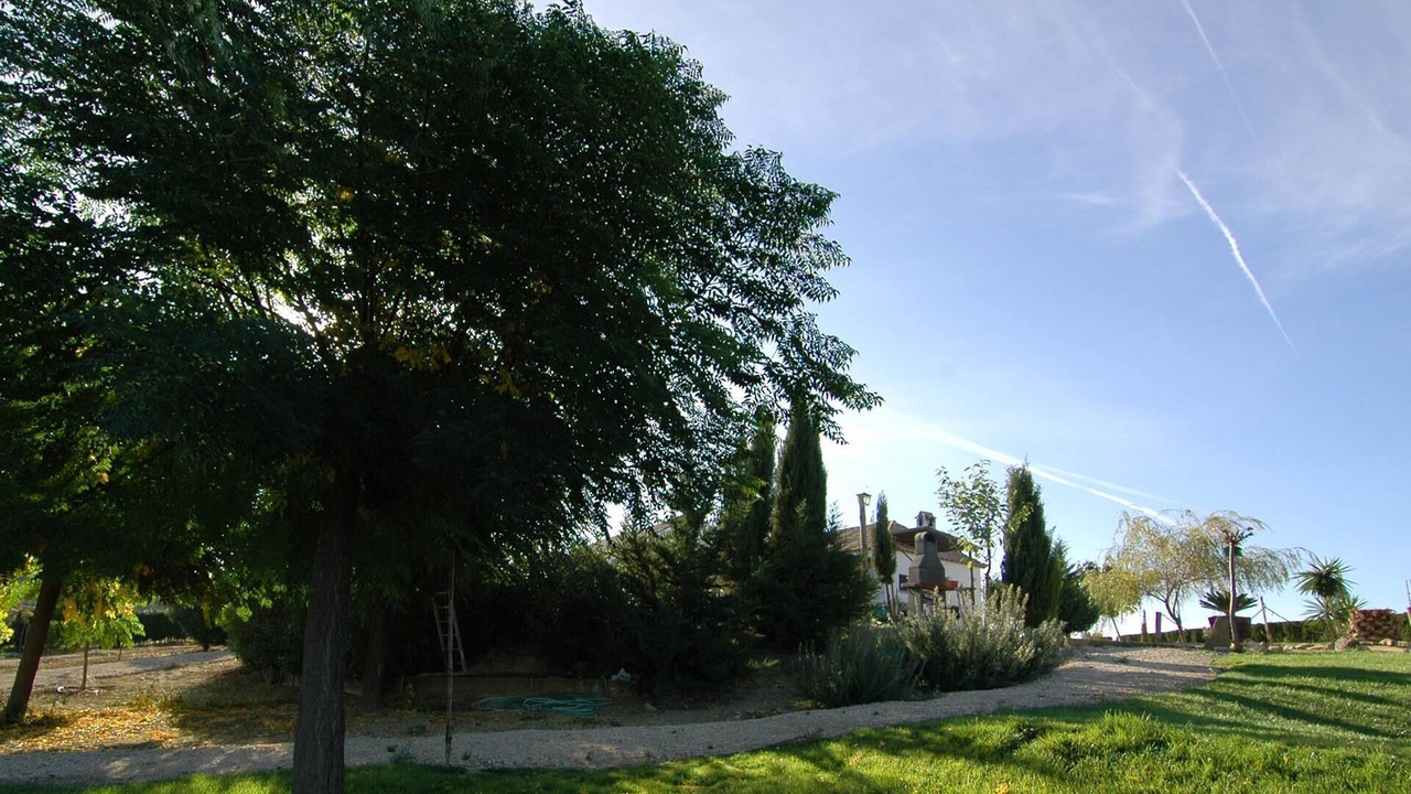 Photo of Outdoor in Santaella
